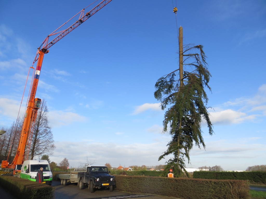 hijskraan boom