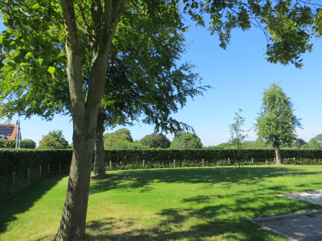 tuinonderhoud