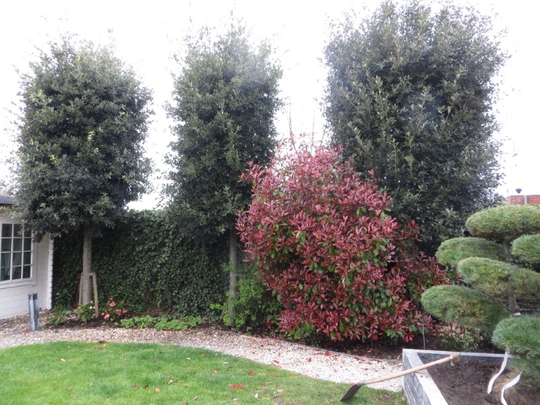 tuinonderhoud
