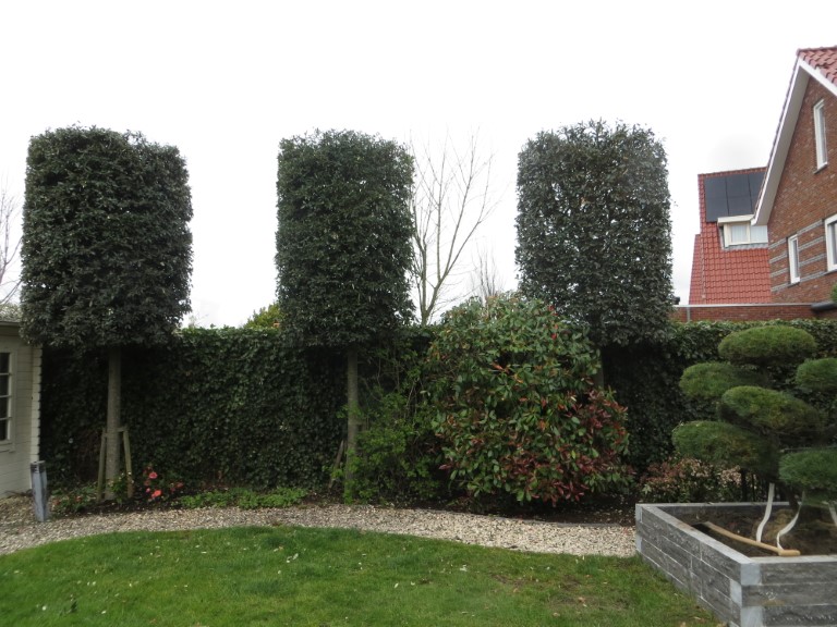 tuinonderhoud